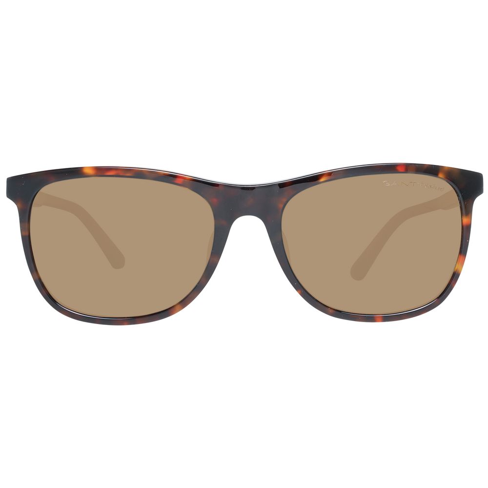 Brown Men Sunglasses