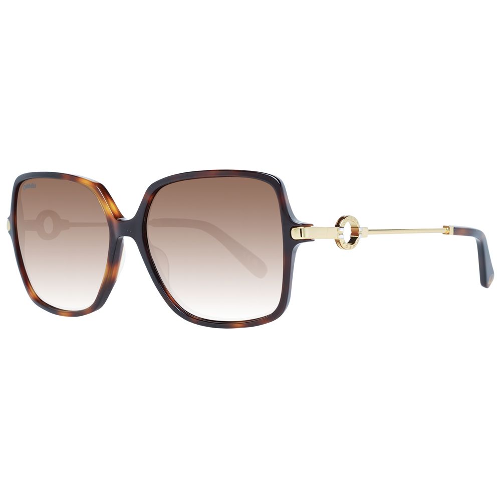 Brown Women Sunglasses