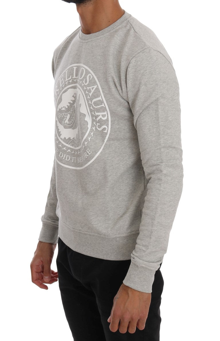 Chic Morellosaurs Crewneck Cotton Sweater