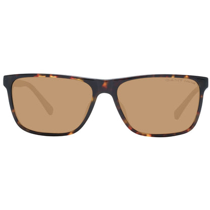 Brown Men Sunglasses