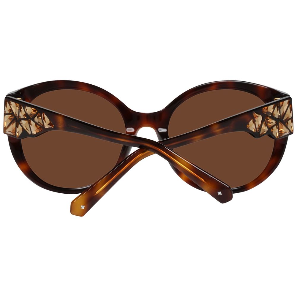 Brown Plastic Sunglasses